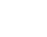 TISC Report Transparency Pioneer 2026
